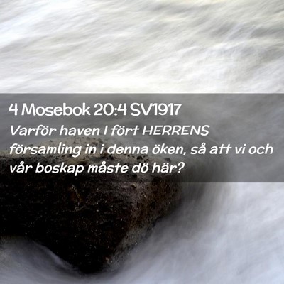 Picture 02 - 4 Mosebok 20:4 SV1917 - Varför haven I fört HERRENS församling in i - Bible Verse Picture