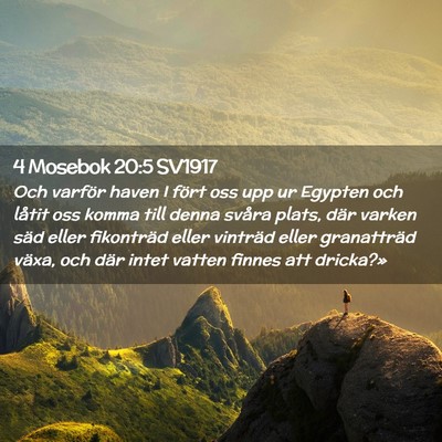 Picture 02 - 4 Mosebok 20:5 SV1917 - Och varför haven I fört oss upp ur Egypten och - Bible Verse Picture