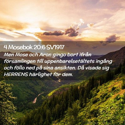 Picture 02 - 4 Mosebok 20:6 SV1917 - Men Mose och Aron gingo bort ifrån församlingen - Bible Verse Picture