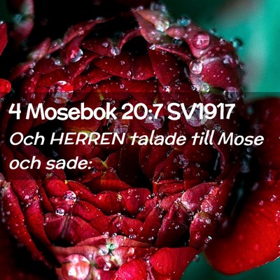 Picture 02 - 4 Mosebok 20:7 SV1917 - Och HERREN talade till Mose och - Bible Verse Picture
