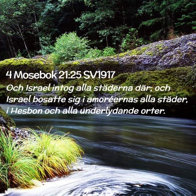 Picture 02 - 4 Mosebok 21:25 SV1917 - Och Israel intog alla städerna där; och Israel - Bible Verse Picture