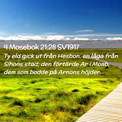Picture 02 - 4 Mosebok 21:28 SV1917 - Ty eld gick ut från Hesbon, en låga från - Bible Verse Picture