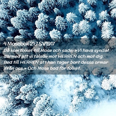 Picture 02 - 4 Mosebok 21:7 SV1917 - Då kom folket till Mose och sade: »Vi hava - Bible Verse Picture