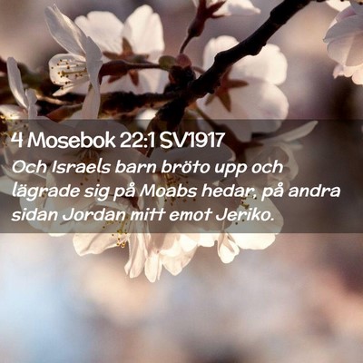 Picture 02 - 4 Mosebok 22:1 SV1917 - Och Israels barn bröto upp och lägrade sig på - Bible Verse Picture