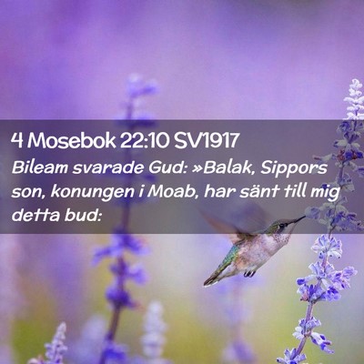 Picture 02 - 4 Mosebok 22:10 SV1917 - Bileam svarade Gud: »Balak, Sippors son, - Bible Verse Picture