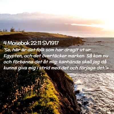Picture 02 - 4 Mosebok 22:11 SV1917 - 'Se, här är det folk som har dragit ut ur - Bible Verse Picture