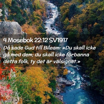 Picture 02 - 4 Mosebok 22:12 SV1917 - Då sade Gud till Bileam: »Du skall icke gå med - Bible Verse Picture