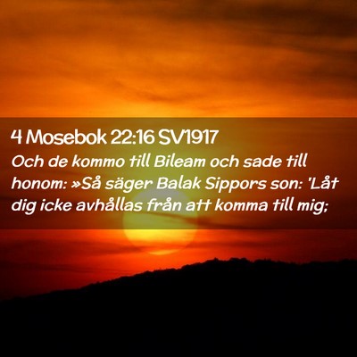Picture 02 - 4 Mosebok 22:16 SV1917 - Och de kommo till Bileam och sade till honom: - Bible Verse Picture