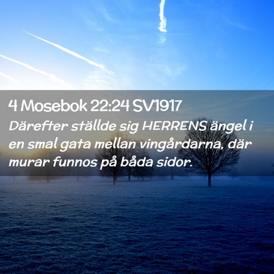 Picture 02 - 4 Mosebok 22:24 SV1917 - Därefter ställde sig HERRENS ängel i en smal - Bible Verse Picture