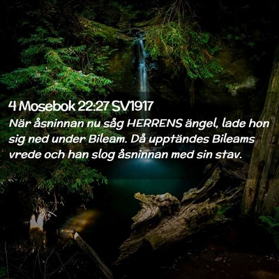 Picture 02 - 4 Mosebok 22:27 SV1917 - När åsninnan nu såg HERRENS ängel, lade hon - Bible Verse Picture