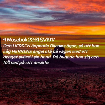 Picture 02 - 4 Mosebok 22:31 SV1917 - Och HERREN öppnade Bileams ögon, så att han - Bible Verse Picture