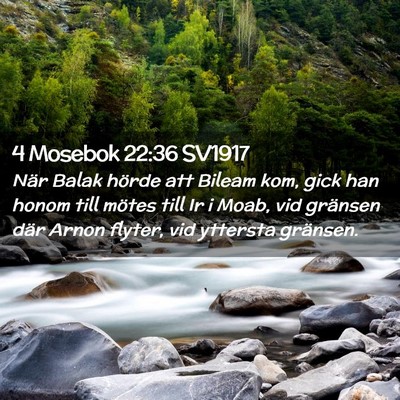 Picture 02 - 4 Mosebok 22:36 SV1917 - När Balak hörde att Bileam kom, gick han honom - Bible Verse Picture