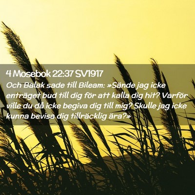 Picture 02 - 4 Mosebok 22:37 SV1917 - Och Balak sade till Bileam: »Sände jag icke - Bible Verse Picture