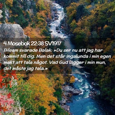 Picture 02 - 4 Mosebok 22:38 SV1917 - Bileam svarade Balak: »Du ser nu att jag har - Bible Verse Picture