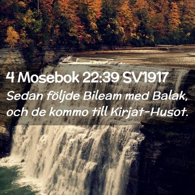 Picture 02 - 4 Mosebok 22:39 SV1917 - Sedan följde Bileam med Balak, och de kommo till - Bible Verse Picture