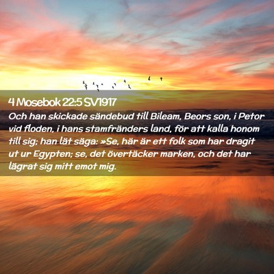 Picture 02 - 4 Mosebok 22:5 SV1917 - Och han skickade sändebud till Bileam, Beors - Bible Verse Picture