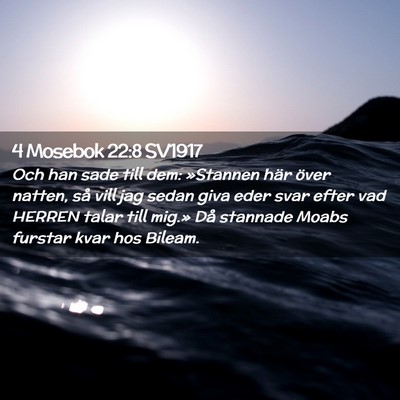 Picture 02 - 4 Mosebok 22:8 SV1917 - Och han sade till dem: »Stannen här över - Bible Verse Picture