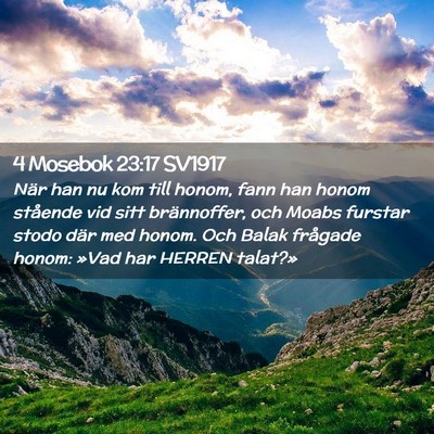 Picture 02 - 4 Mosebok 23:17 SV1917 - När han nu kom till honom, fann han honom - Bible Verse Picture