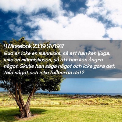 Picture 02 - 4 Mosebok 23:19 SV1917 - Gud är icke en människa, så att han kan ljuga, - Bible Verse Picture
