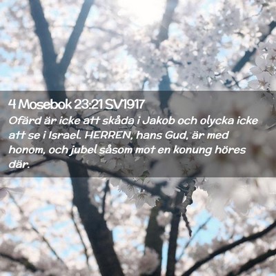 Picture 02 - 4 Mosebok 23:21 SV1917 - Ofärd är icke att skåda i Jakob och olycka - Bible Verse Picture