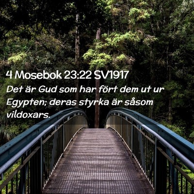 Picture 02 - 4 Mosebok 23:22 SV1917 - Det är Gud som har fört dem ut ur Egypten; - Bible Verse Picture