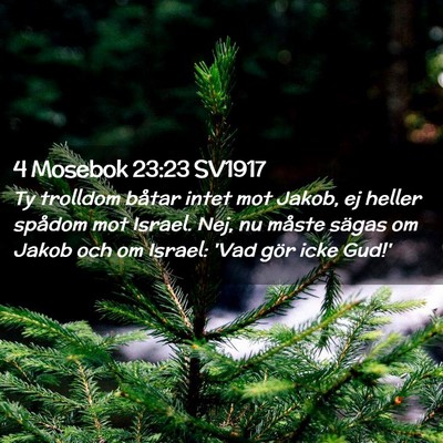 Picture 02 - 4 Mosebok 23:23 SV1917 - Ty trolldom båtar intet mot Jakob, ej heller - Bible Verse Picture