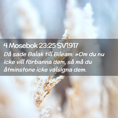 Picture 02 - 4 Mosebok 23:25 SV1917 - Då sade Balak till Bileam: »Om du nu icke vill - Bible Verse Picture