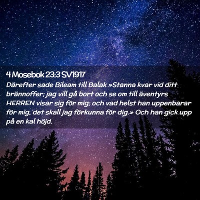 Picture 02 - 4 Mosebok 23:3 SV1917 - Därefter sade Bileam till Balak »Stanna kvar - Bible Verse Picture