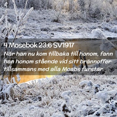 Picture 02 - 4 Mosebok 23:6 SV1917 - När han nu kom tillbaka till honom, fann han - Bible Verse Picture