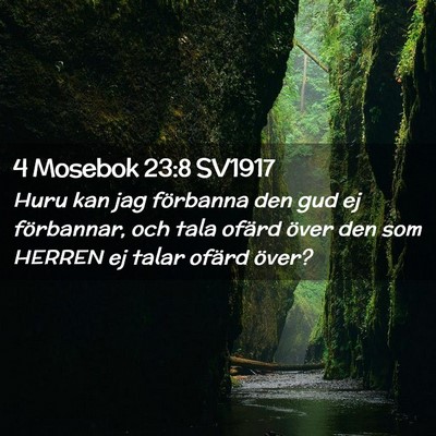 Picture 02 - 4 Mosebok 23:8 SV1917 - Huru kan jag förbanna den gud ej förbannar, och - Bible Verse Picture