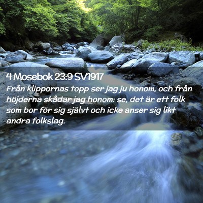 Picture 02 - 4 Mosebok 23:9 SV1917 - Från klippornas topp ser jag ju honom, och från - Bible Verse Picture