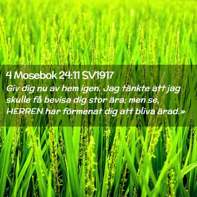 Picture 02 - 4 Mosebok 24:11 SV1917 - Giv dig nu av hem igen. Jag tänkte att jag - Bible Verse Picture