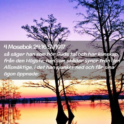 Picture 02 - 4 Mosebok 24:16 SV1917 - så säger han som hör Guds tal och har kunskap - Bible Verse Picture