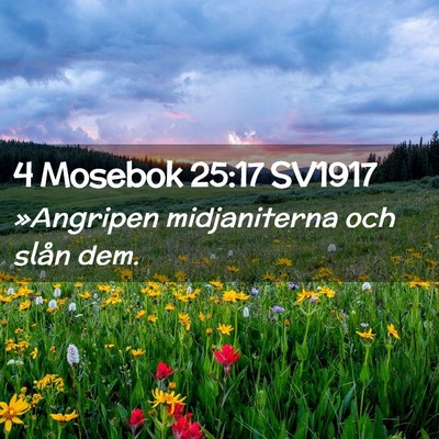 Picture 02 - 4 Mosebok 25:17 SV1917 - »Angripen midjaniterna och slån - Bible Verse Picture