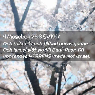 Picture 02 - 4 Mosebok 25:3 SV1917 - Och folket åt och tillbad deras gudar. Och - Bible Verse Picture