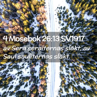 Picture 02 - 4 Mosebok 26:13 SV1917 - av Sera seraiternas släkt, av Saul sauliternas - Bible Verse Picture