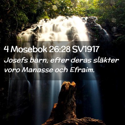 Picture 02 - 4 Mosebok 26:28 SV1917 - Josefs barn, efter deras släkter voro Manasse - Bible Verse Picture