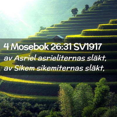 Picture 02 - 4 Mosebok 26:31 SV1917 - av Asriel asrieliternas släkt, av Sikem - Bible Verse Picture
