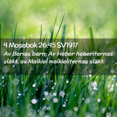 Picture 02 - 4 Mosebok 26:45 SV1917 - Av Berias barn: Av Heber heberiternas släkt, av - Bible Verse Picture