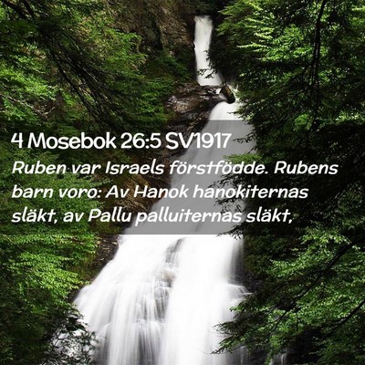 Picture 02 - 4 Mosebok 26:5 SV1917 - Ruben var Israels förstfödde. Rubens barn voro: - Bible Verse Picture