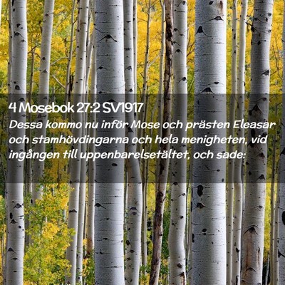 Picture 02 - 4 Mosebok 27:2 SV1917 - Dessa kommo nu inför Mose och prästen Eleasar - Bible Verse Picture