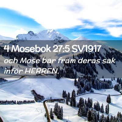 Picture 02 - 4 Mosebok 27:5 SV1917 - och Mose bar fram deras sak inför - Bible Verse Picture