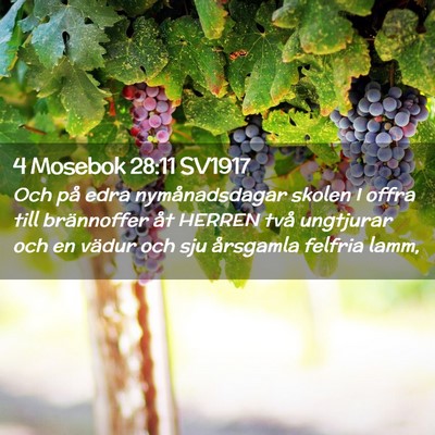 Picture 02 - 4 Mosebok 28:11 SV1917 - Och på edra nymånadsdagar skolen I offra till - Bible Verse Picture