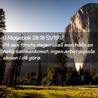 Picture 02 - 4 Mosebok 28:18 SV1917 - På den första dagen skall man hålla en helig - Bible Verse Picture
