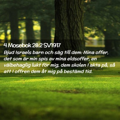 Picture 02 - 4 Mosebok 28:2 SV1917 - Bjud Israels barn och säg till dem: Mina offer, - Bible Verse Picture
