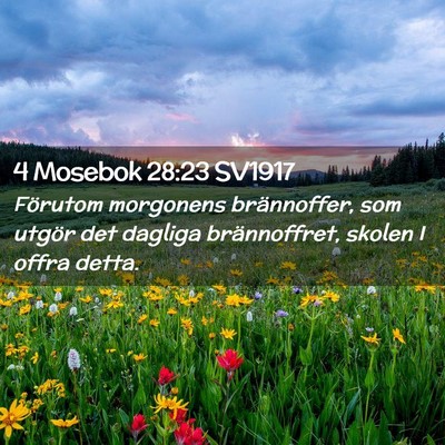 Picture 02 - 4 Mosebok 28:23 SV1917 - Förutom morgonens brännoffer, som utgör det - Bible Verse Picture
