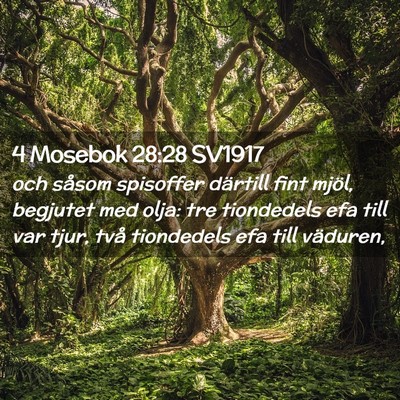 Picture 02 - 4 Mosebok 28:28 SV1917 - och såsom spisoffer därtill fint mjöl, - Bible Verse Picture