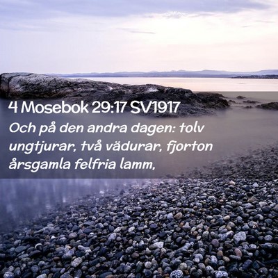 Picture 02 - 4 Mosebok 29:17 SV1917 - Och på den andra dagen: tolv ungtjurar, två - Bible Verse Picture