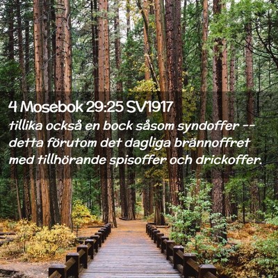 Picture 02 - 4 Mosebok 29:25 SV1917 - tillika också en bock såsom syndoffer -- detta - Bible Verse Picture