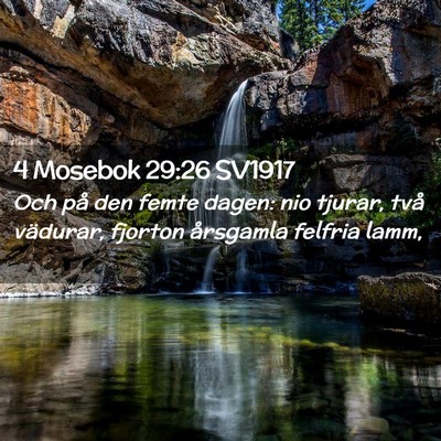 Picture 02 - 4 Mosebok 29:26 SV1917 - Och på den femte dagen: nio tjurar, två - Bible Verse Picture